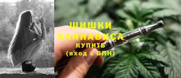 метадон Новодвинск