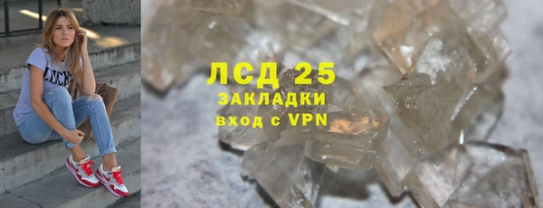 сатива Новозыбков