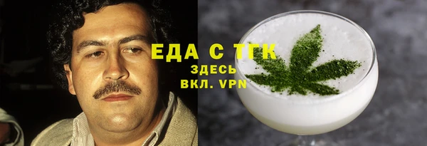 сатива Новозыбков