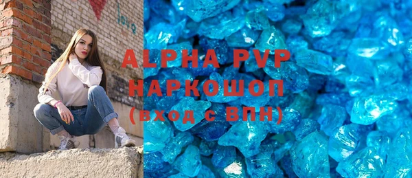 сатива Новозыбков