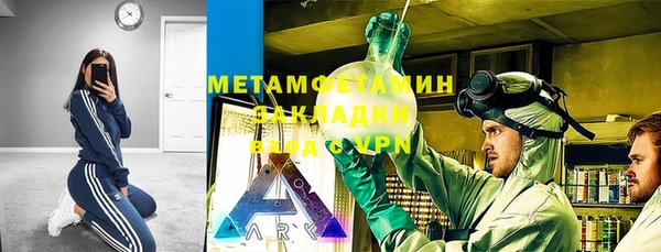 сатива Новозыбков