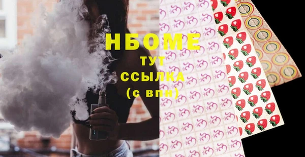 сатива Новозыбков