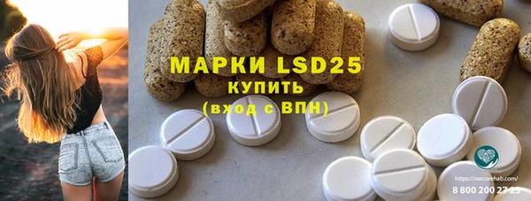 PSILOCYBIN Кондопога