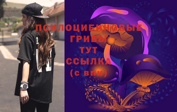соль ск Новокубанск