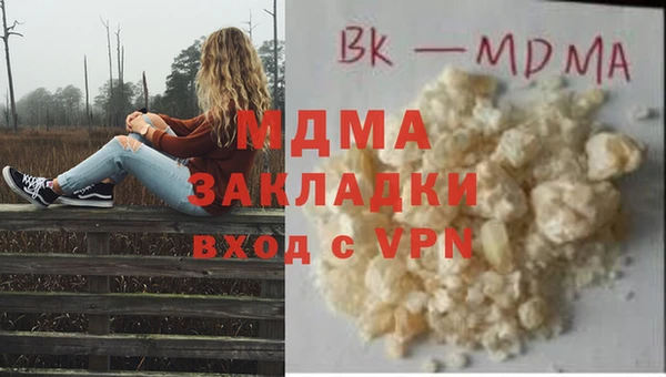 сатива Новозыбков