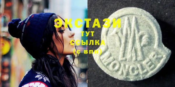 сатива Новозыбков