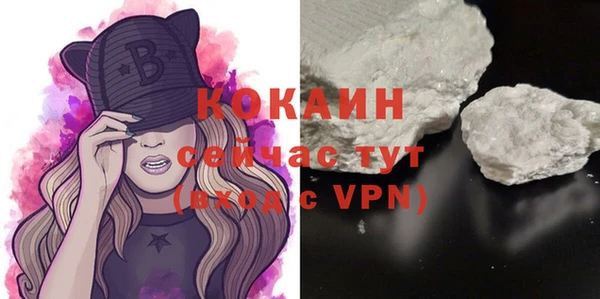 сатива Новозыбков